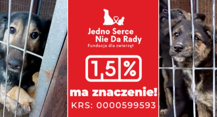 Przekaż 1,5% podatku Fundacji Dla Zwierząt Jedno Serce Nie Da Rady