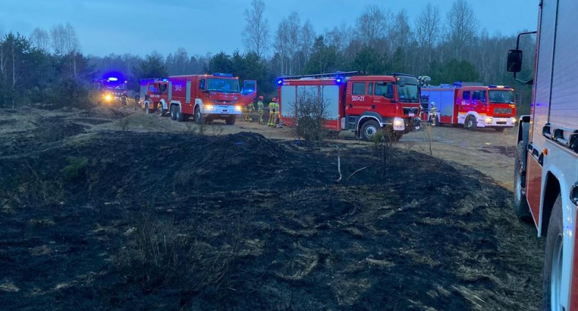 Pożar w Czerwonym Borze po detonacji niewybuchu przez saperów [FOTO]