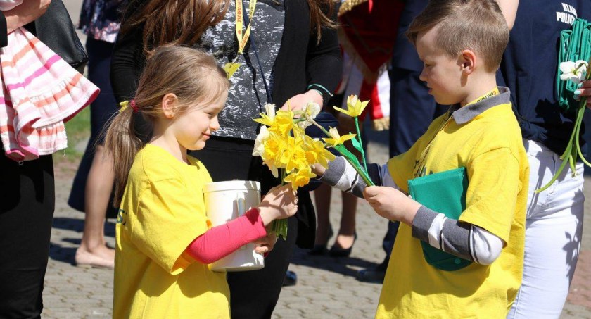 Już jutro zakwitną „Pola Nadziei” 