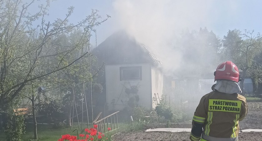 Pożar altany na terenie jednego z ROD w Zambrowie [FOTO]