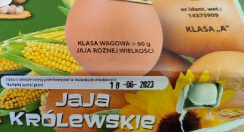  GIS: Bakterie Salmonella Enteritidis na powierzchni skorupek jaj [FOTO]