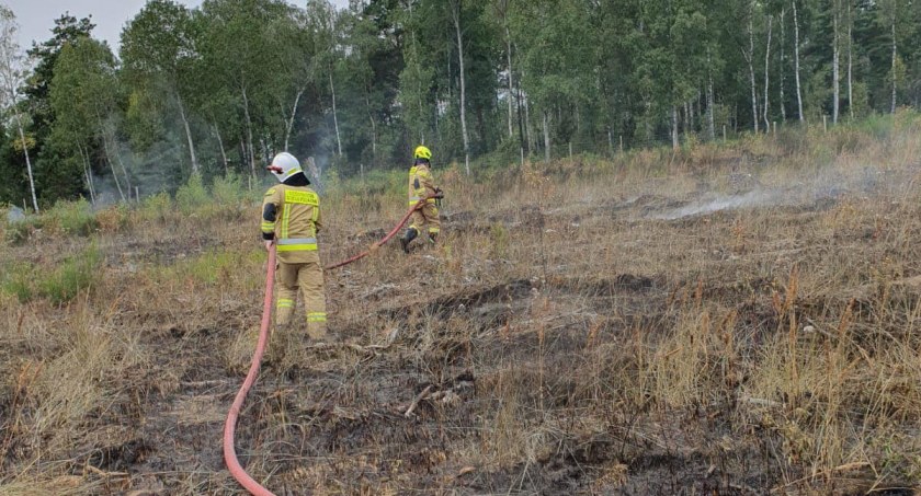 8 zastępów strażaków walczyło z pożarem lasu [FOTO]