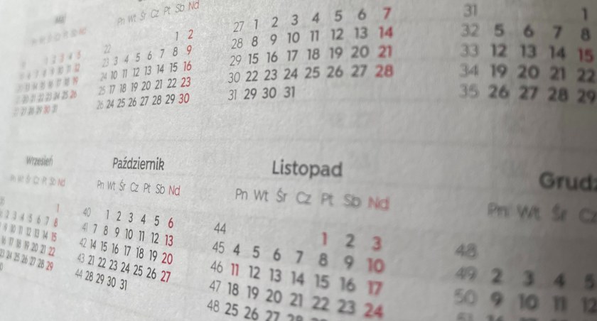 Kalendarz roku szkolnego 2023/2024. Sprawdź, kiedy będzie wolne