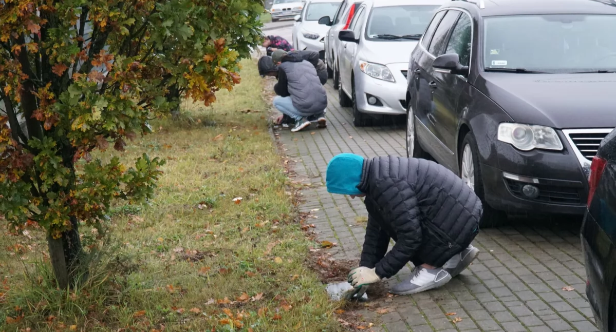 Wolontariusze z ZS1 uprzątnęli pamiątkowe tabliczki na ul. Ofiar Katynia w Zambrowie [FOTO]