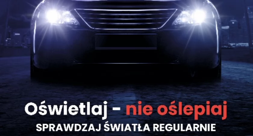 Sprawdź bezpłatnie światła w swoim pojeździe!