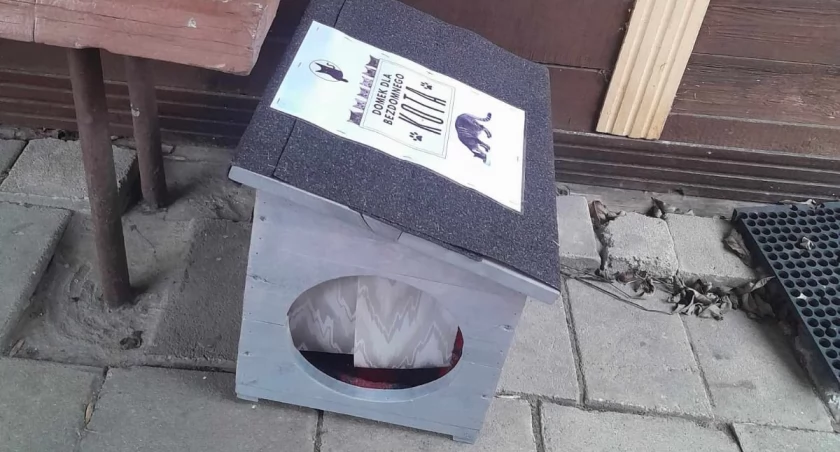 Domki dla bezdomnych kotów pojawiły się w Zambrowie [FOTO]