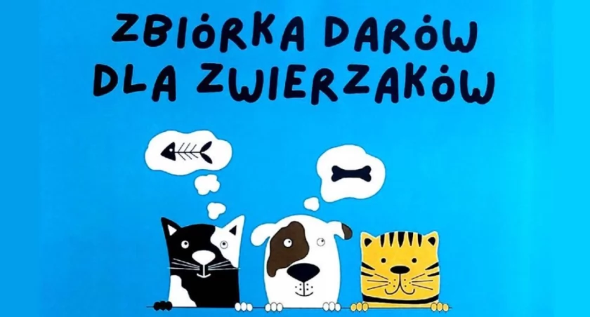 Trwa zbiórka darów dla zwierzaków - ty też możesz pomóc!
