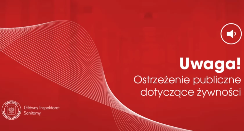 Salmonella w partii sałatki jarzynowej