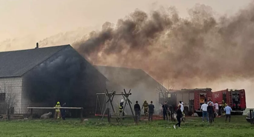 Siedem zastępów strażaków walczyło z pożarem obory [FOTO]