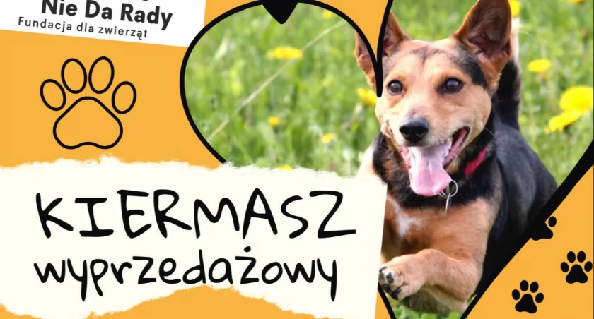 To już jutro! Kiermasz wyprzedażowy po raz pierwszy w Zambrowie!