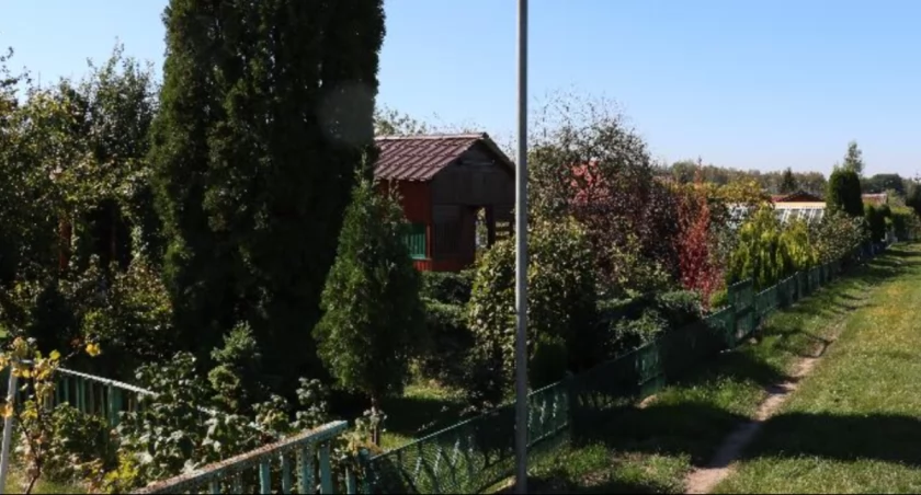 Działkowcy obawiają się o swoje ogródki. Burmistrz ich uspokaja