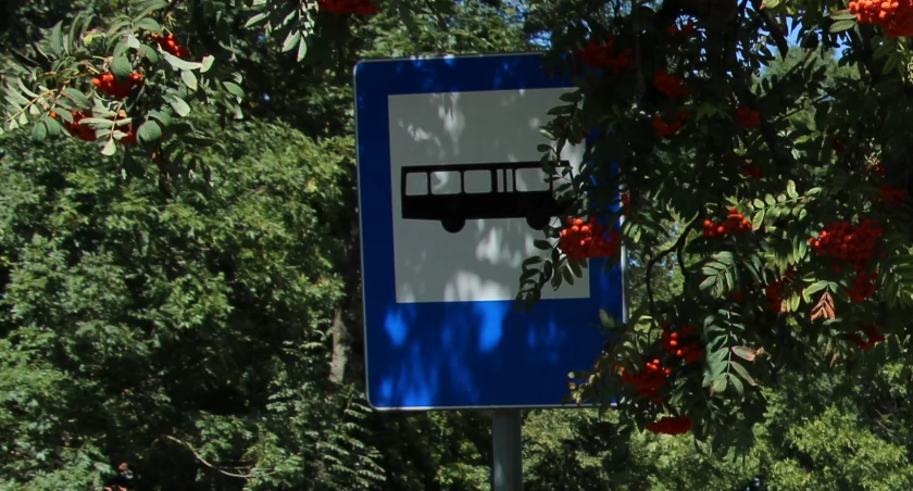 Zmiany w trasach linii nr 1 i nr 3 komunikacji miejskiej w Zambrowie