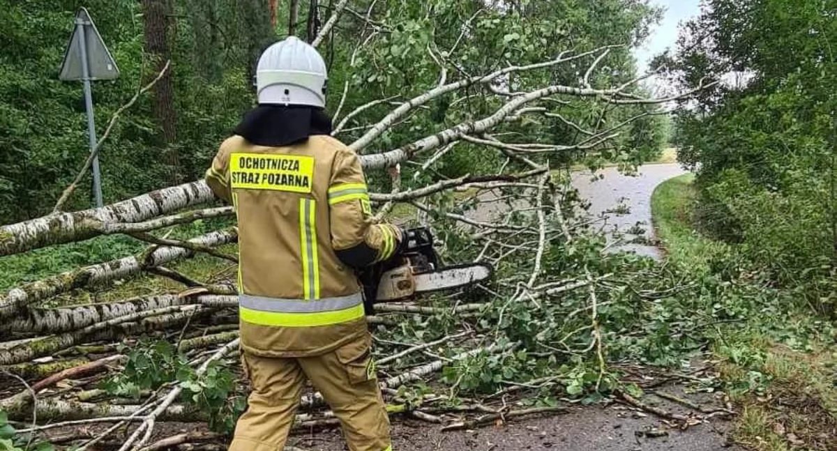 Strażacy usuwali skutki silnego wiatru [FOTO]