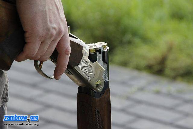 Dziki do odstrzału w powiecie zambrowskim