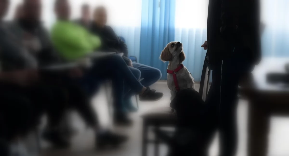 Dogoterapia w ZK w Czerwonym Borze [FOTO]