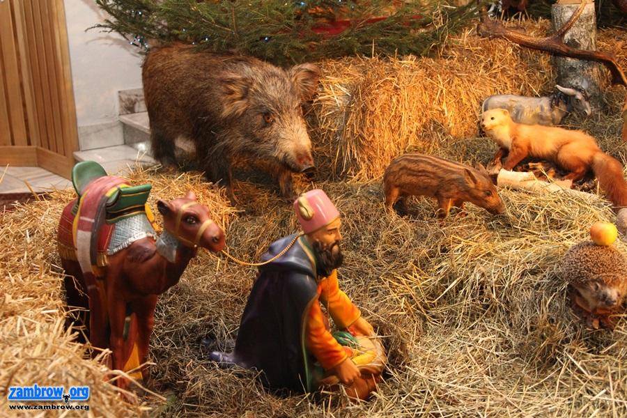 Szopki bożonarodzeniowe w zambrowskich parafiach [foto+video]
