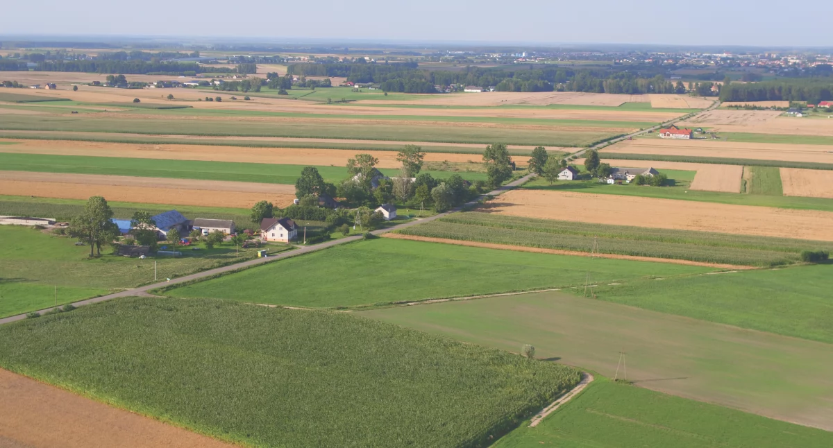 Znamy plan przetargów Gminy Zambrów na 2025 rok