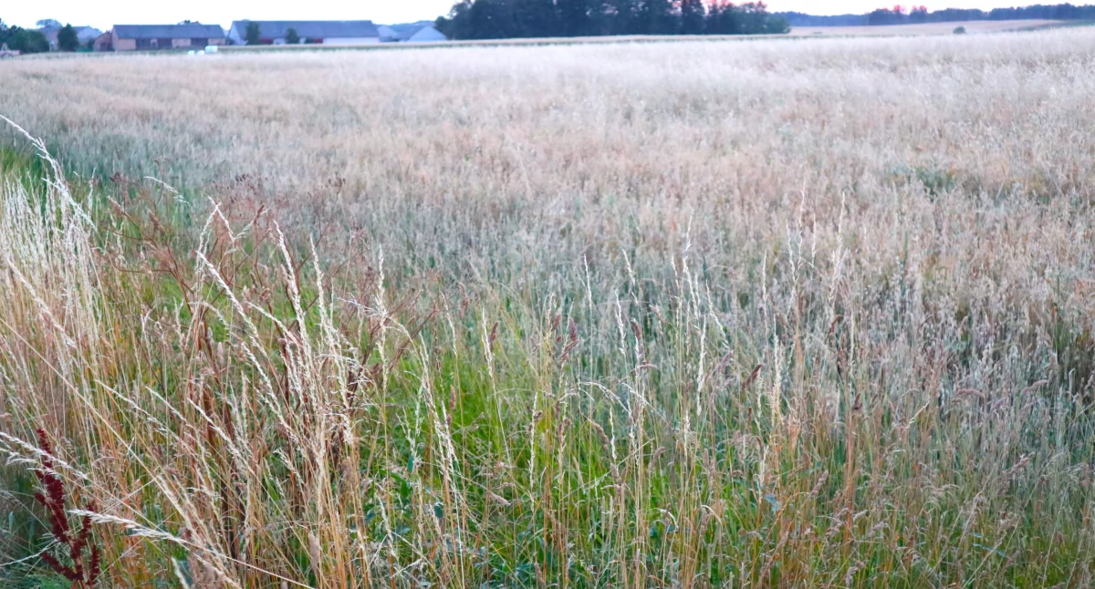 KRUS: Wymiar składek na ubezpieczenie zdrowotne w 2025 r.