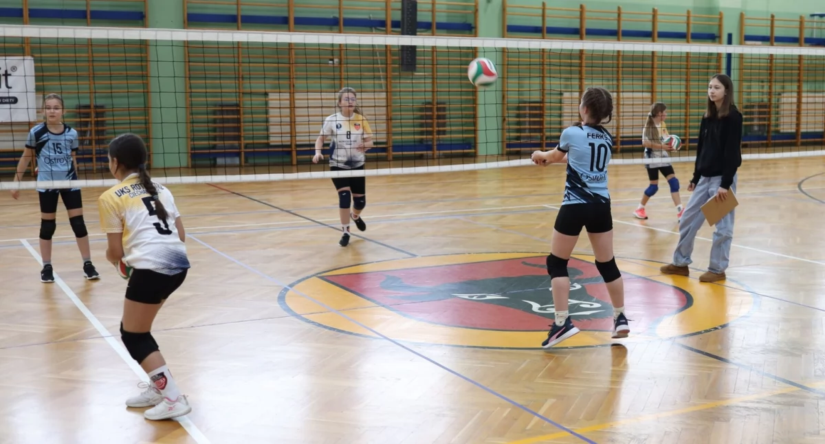 Siatkarki Rekordu Zambrów rozegrały turniej ligowy singli dziewcząt U-10 [FOTO]