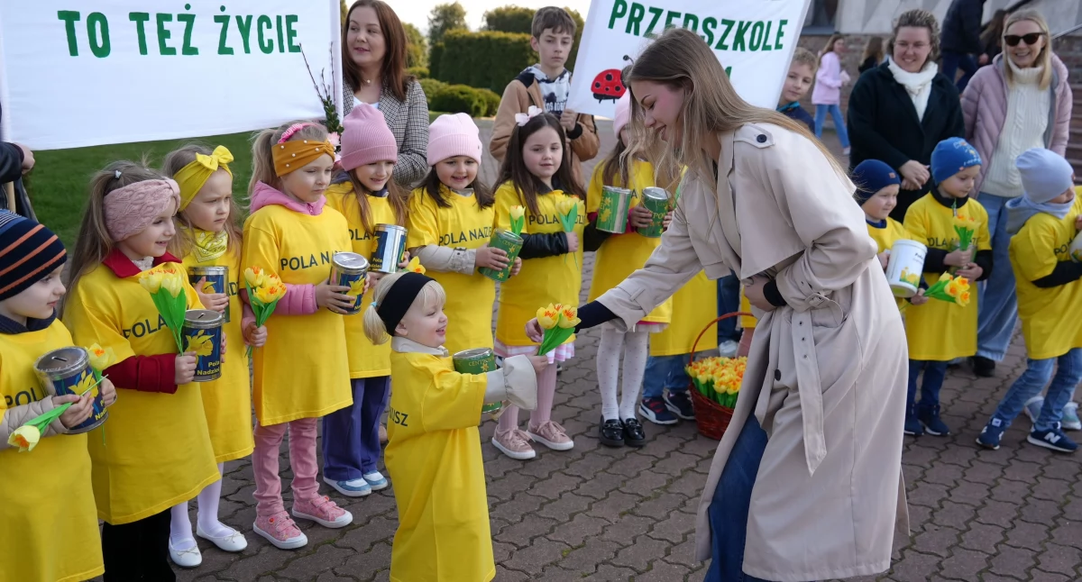 Pola Nadziei 2025: Zambrów kolejny raz rozkwitł żółtymi żonkilami [FOTO+VIDEO]