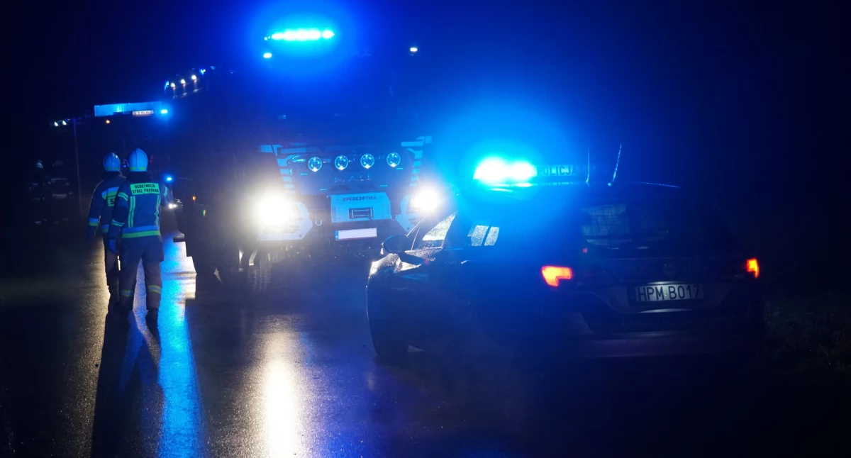 Jedna osoba w szpitalu po zderzeniu z łosiem na S8