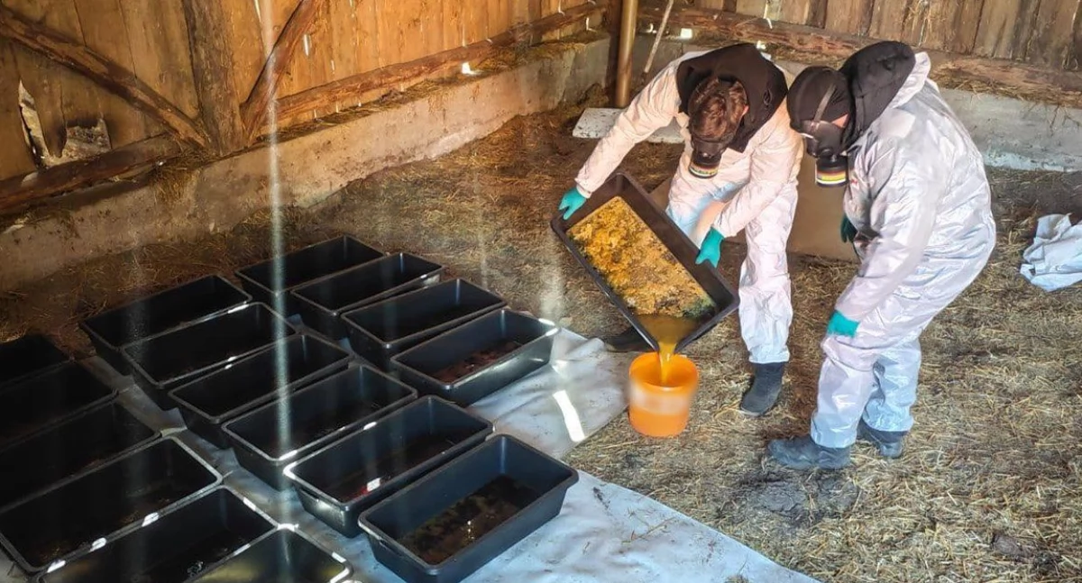 CBŚP zlikwidowało duże laboratorium narkotyków [FOTO+VIDEO]