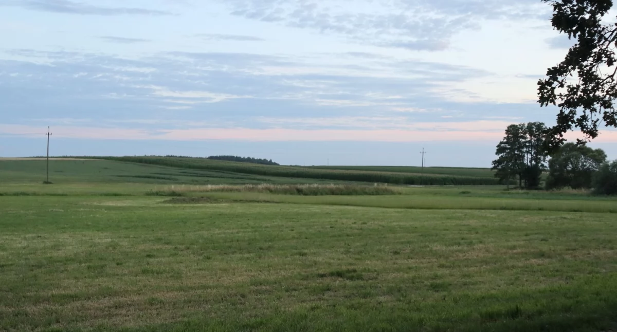 Rolnicy mogą składać wnioski o oszacowanie szkód w uprawach rolnych