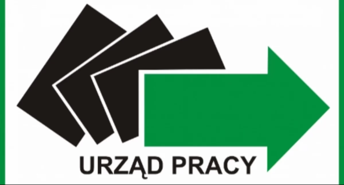 Praca w Zambrowie - sprawdź aktualne oferty pracy z 13 czerwca 2025 r.
