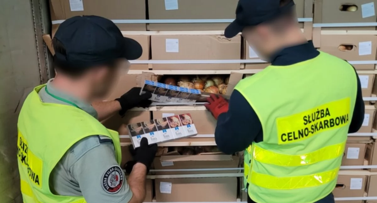 Ukryli nielegalne papierosy w... cebuli [FOTO]