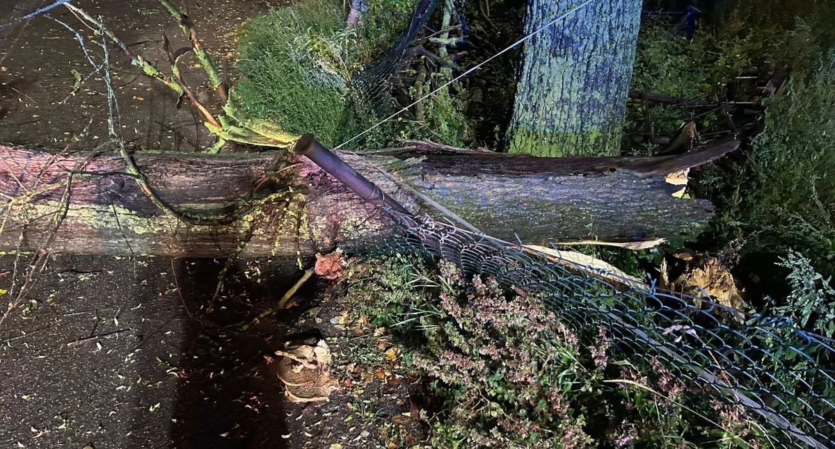 Silny wiatr narobił szkód w powiecie zambrowskim [FOTO]