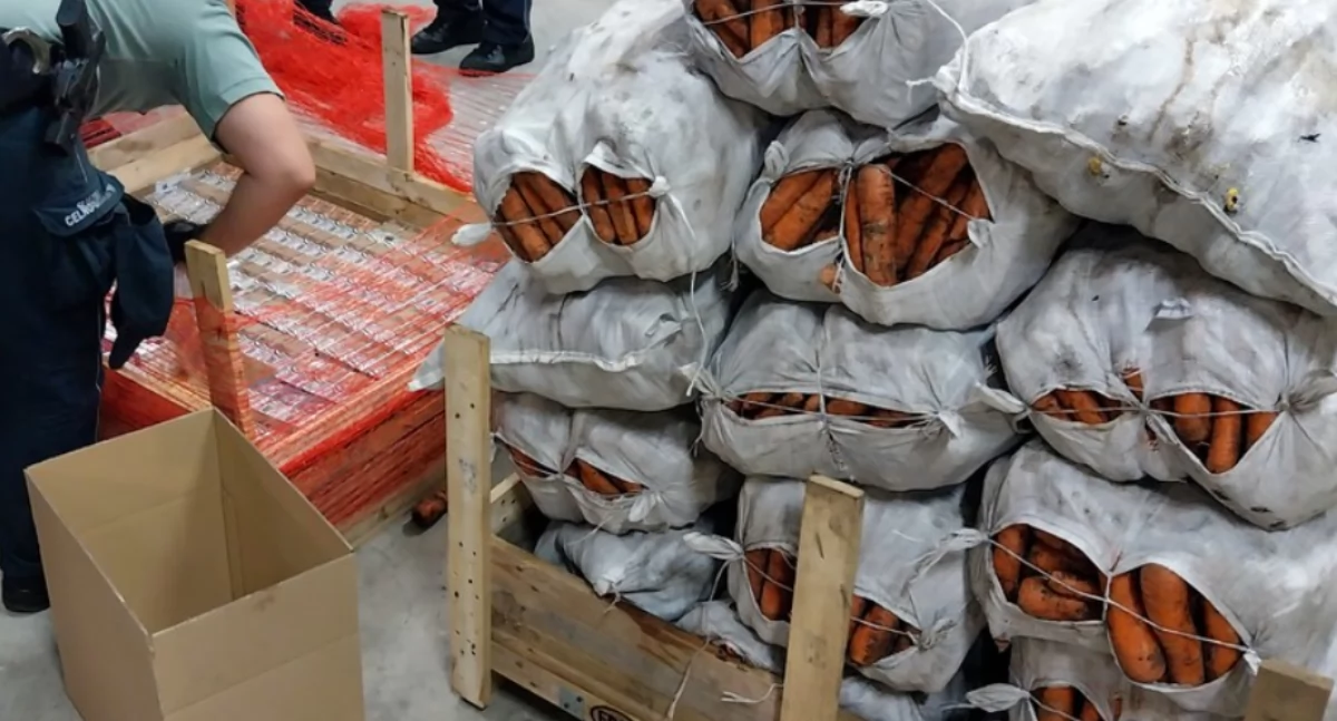 Papierosy ukrył pod workami z marchewką [FOTO+VIDEO]