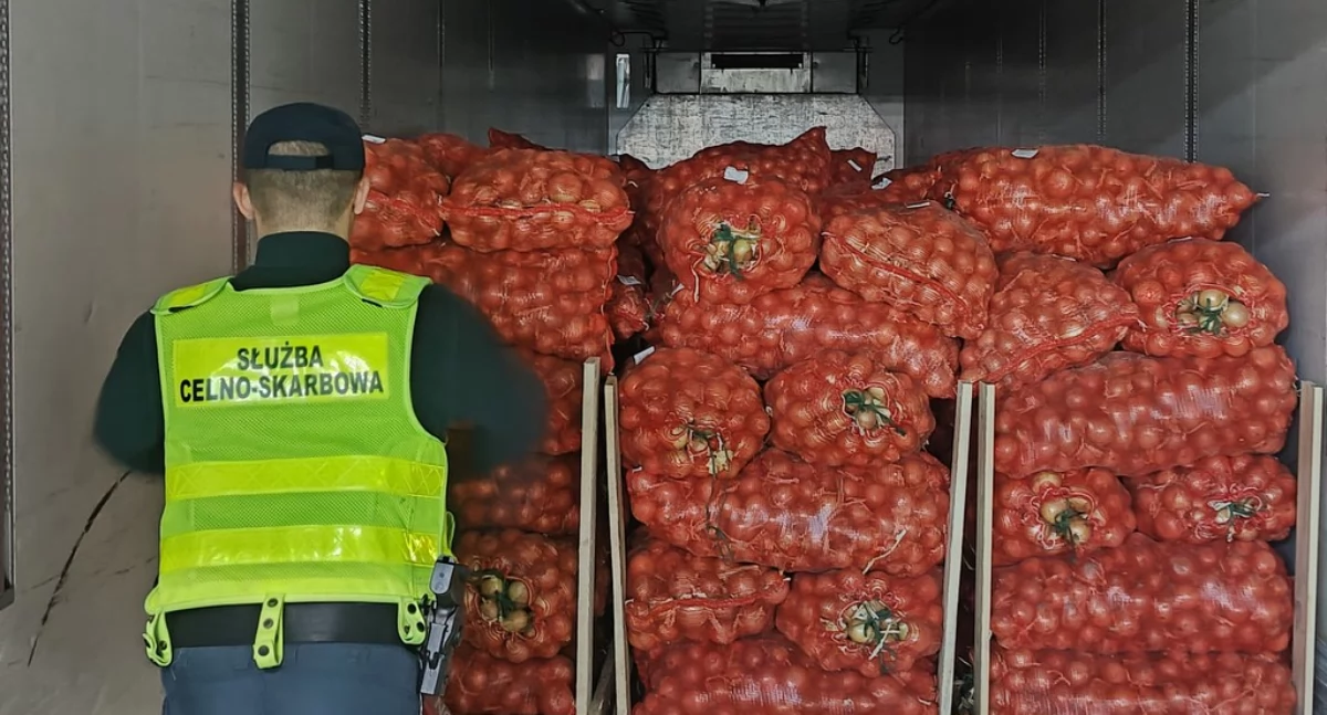 Papierosy przemycał w skrzyniach z cebulą [FOTO+VIDEO]