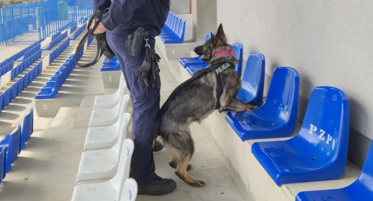 Czworonożni funkcjonariusze trenowali na stadionie w Zambrowie. Szukali narkotyków i materiałów wybuchowych [FOTO]