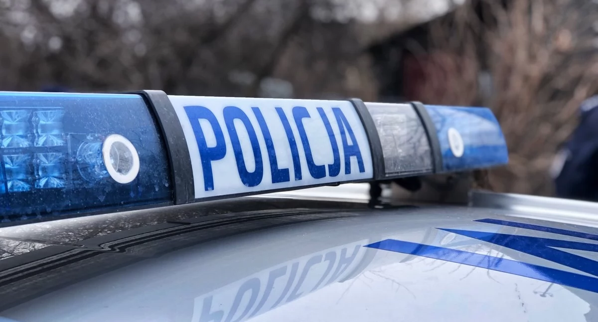 Zaginęła 17-latka. Policjanci apelują o pomoc w poszukiwaniach - AKTUALIZACJA