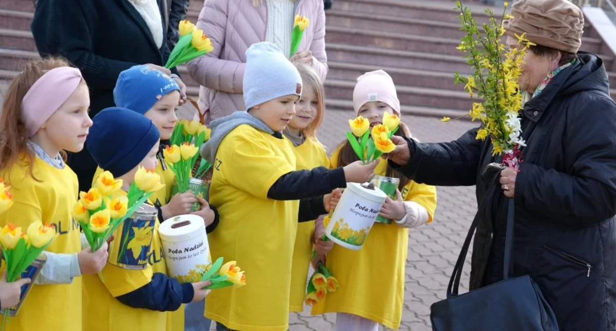 Już dzisiaj zakwitną w Zambrowie „Pola Nadziei” 