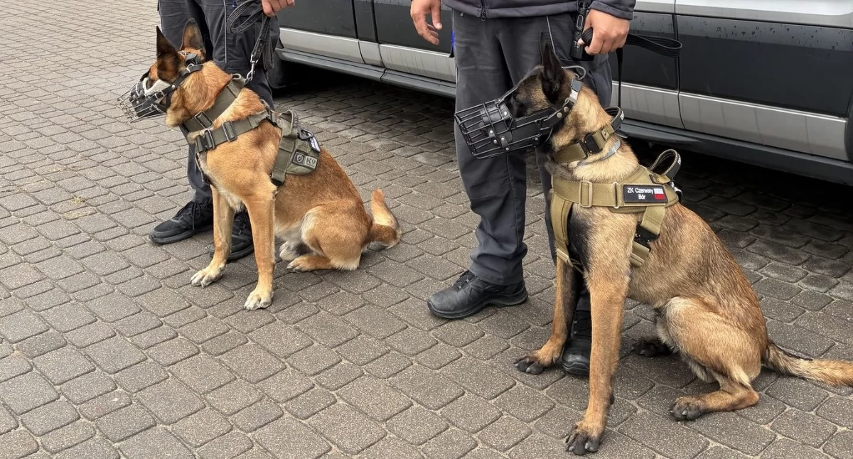 Pies Aron odszedł na emeryturę po 10 latach służby w Czerwonym Borze [FOTO]