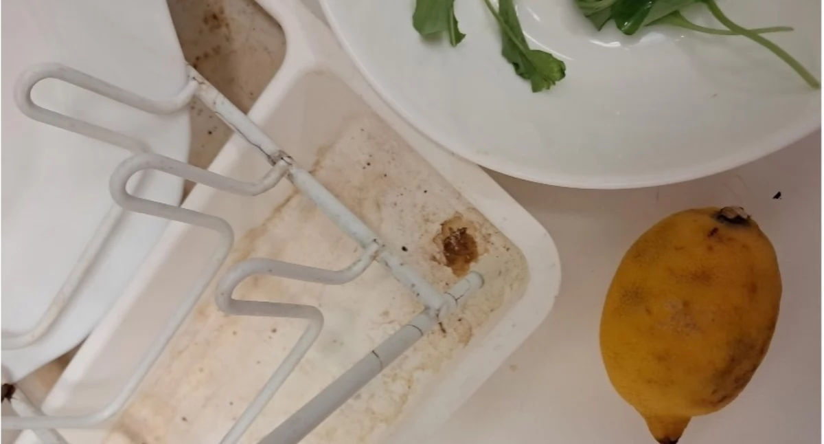 Lato – nie zapominajmy o bakteriach!
