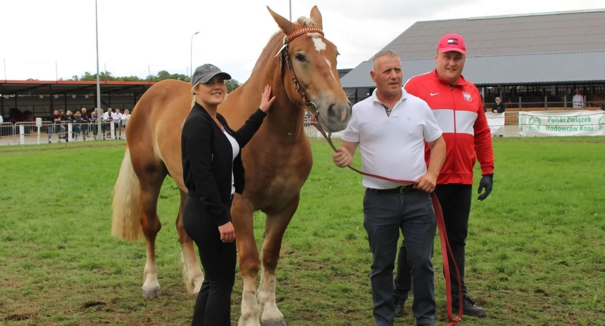 Starosta nagrodziła uczestnika IX Ogólnopolskiego Młodzieżowego Czempionatu Koni Sokólskich [FOTO]