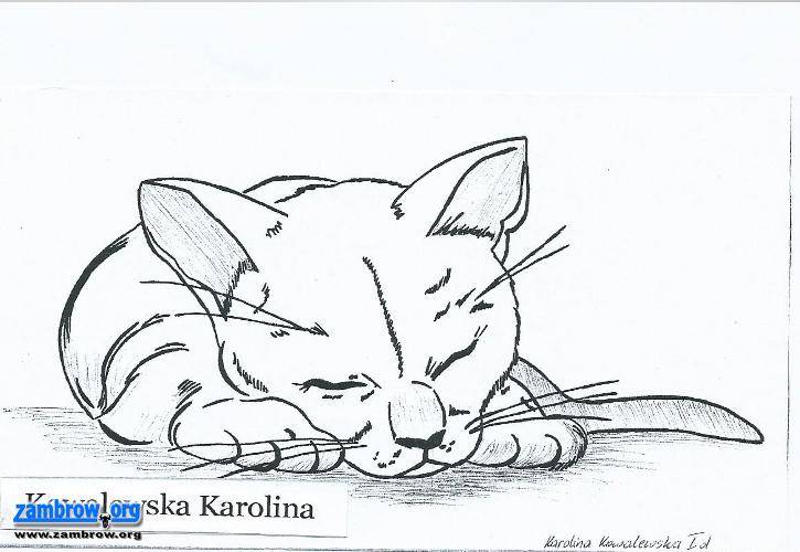 „Plastyczna przeszłość ZSO w Zambrowie” [galeria prac - cz. 6]