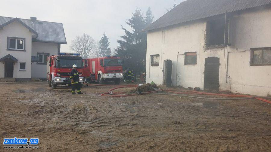 Pożar stodoły w Krajewie-Ćwikłach [foto]