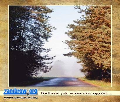 Zapraszamy na wystawę do OWR