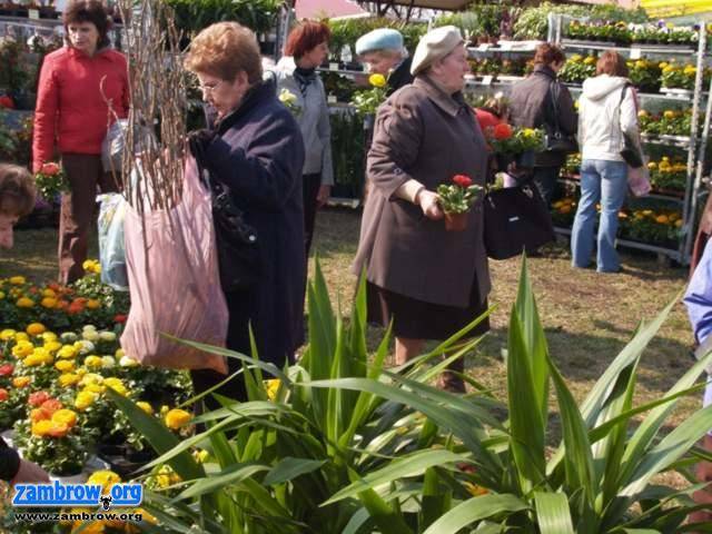 W ten weekend Targi Ogrodnicze i Targi Pszczelarskie w Szepietowie
