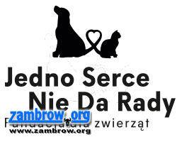 Będą zbierać żywność dla bezdomnych zwierząt