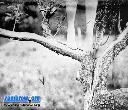 Powiedz życzenie - wystawa fotografii Moniki Kryszczyńskiej w Łomży