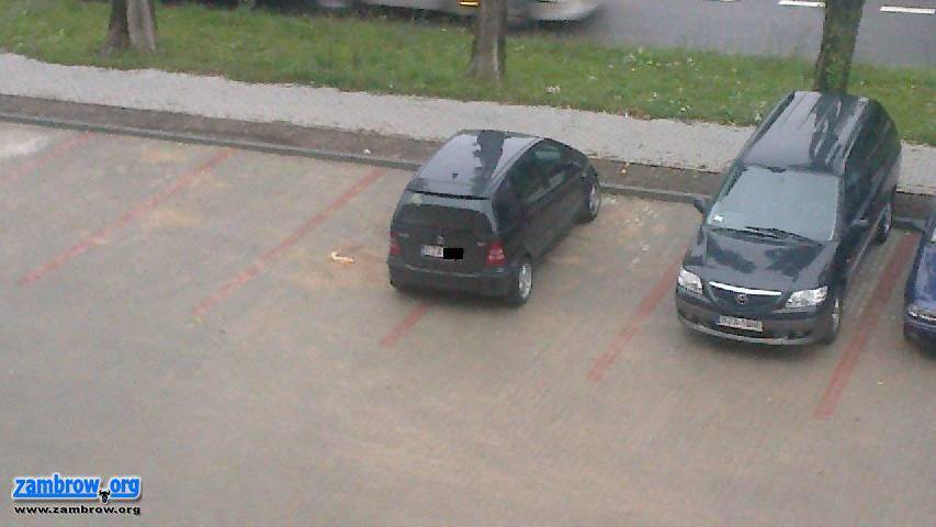 Parkuj z głową [foto]