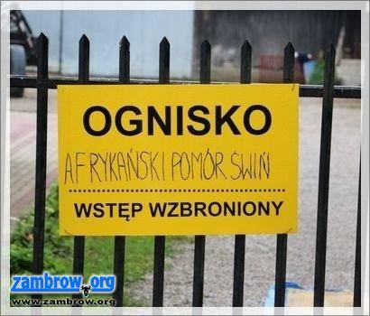 Zarzuty w śledztwie dotyczącym rozprzestrzeniania się ASF
