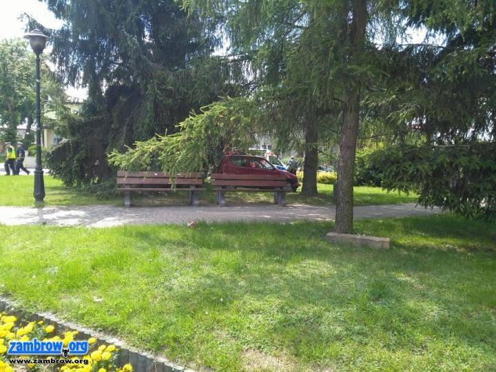 Przez rondo pod prąd, aż na trawnik [FOTO]