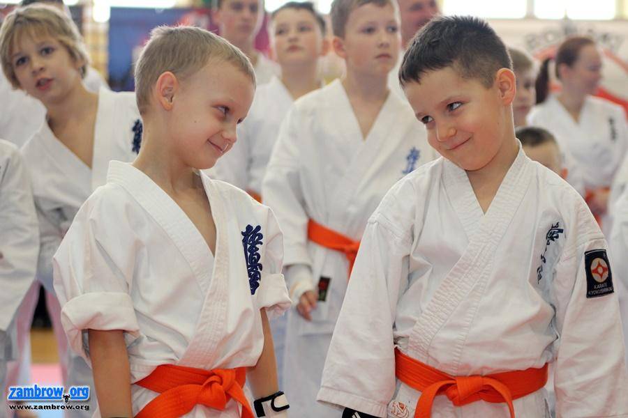 Turniej Karate Kyokushin rozstrzygnięty [foto+video]