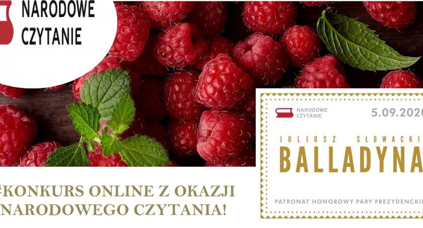 Biblioteka oraz MOK zapraszają do udziału w malinowym konkursie z okazji Narodowego Czytania 