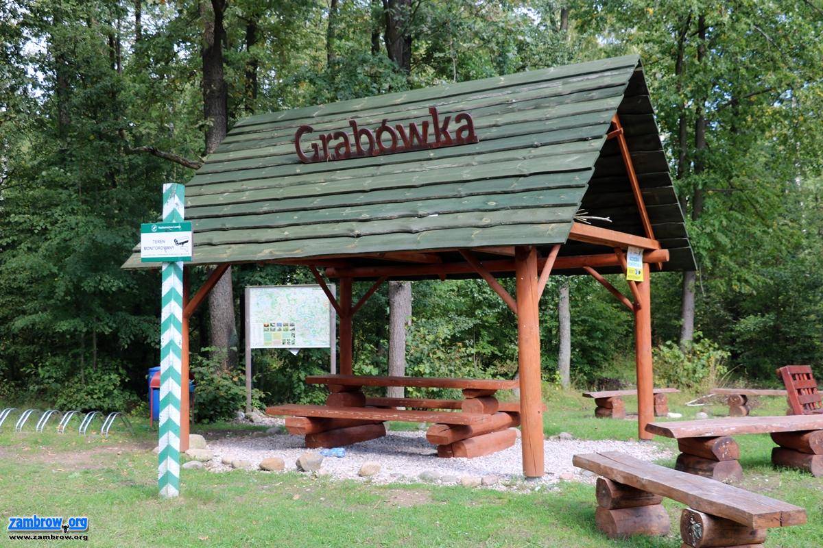 Odwiedź „przystanek Grabówka” [foto]
